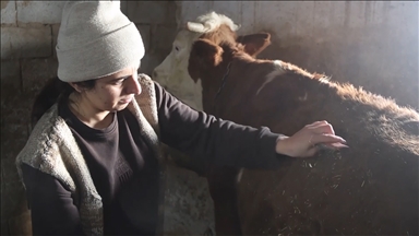Devlet desteğini yatırıma dönüştüren Iğdırlı kadın girişimci hayvancılıkta örnek oluyor