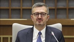 Бурханеттин Дуран: провокация с турецким флагом направлена против народа и на подрыв успехов в борьбе с терроризмом