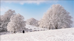 Istranca Ormanları karla kaplanınca ortaya kartpostallık görüntüler çıktı