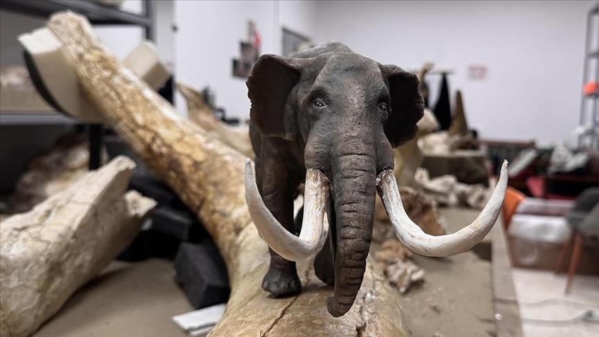 Турција: Во Кајсери се изработуваат минијатури од џиновски животински фосили