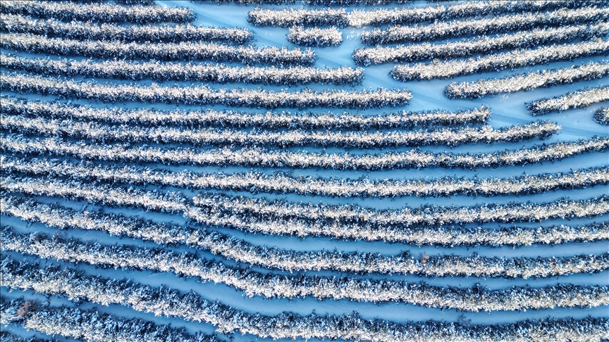 Dîmenên daristanên li quntarê Çiyayê Palandokenê yên ku bi berfê nixûmîne ji esman hatin kişandin