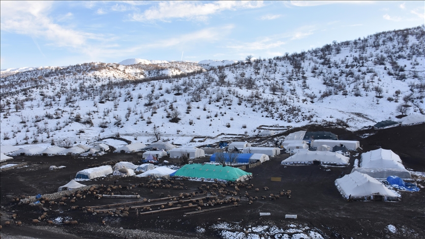 Bi barîna berfê ra kêfa koçerên li pêşa Çiyayê Cûdiyê xweş bû