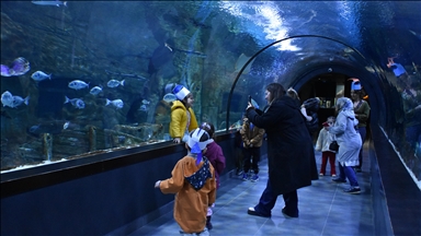 Trabzon Akvaryum geçen yıl 215 bini aşkın ziyaretçi ağırladı