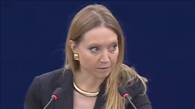 AP Komite Başkanı Lalucq'dan "yerli ödeme sistemine geçme" çağrısı