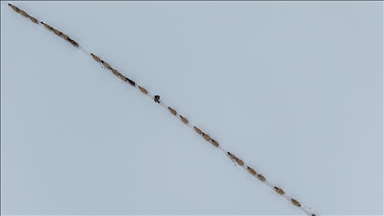 Bingöl Karlıova’da besicilerin kış mesaisi