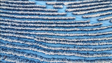 Dîmenên daristanên li quntarê Çiyayê Palandokenê yên ku bi berfê nixûmîne ji esman hatin kişandin
