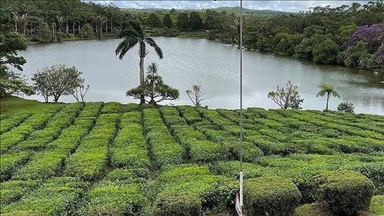 Les critiques de Trump sur l’accord des îles Chagos peuvent-elles fragiliser les relations États-Unis–Royaume-Uni ?