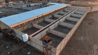 واشنطن تطلق عملية في سوريا لنقل معتقلي "داعش" إلى العراق 