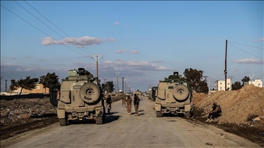 Террористы YPG/SDG атаковали конную ферму в сирийском Хасеке, 7 погибших