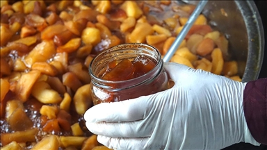 Balıkesir'de kurulan kooperatif yaklaşık 100 kadına gelir kapısı oldu