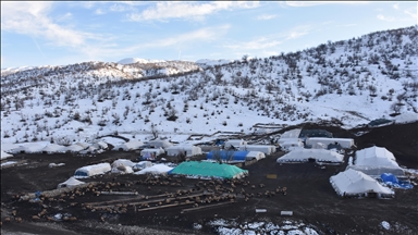 Bi barîna berfê ra kêfa koçerên li pêşa Çiyayê Cûdiyê xweş bû