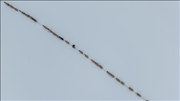 Bingöl Karlıova’da besicilerin kış mesaisi