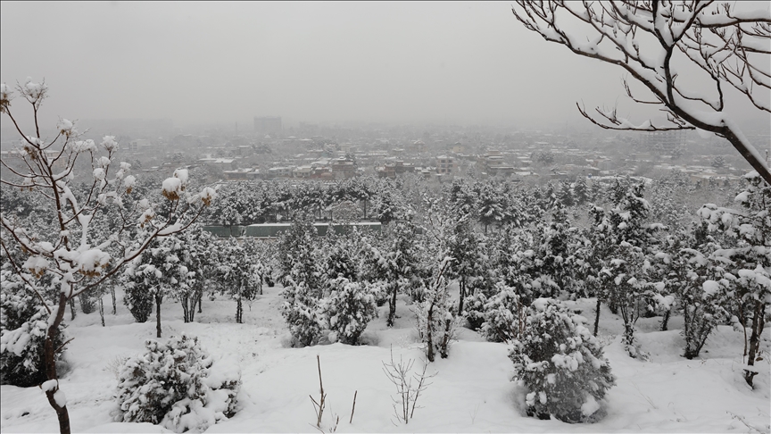 11 killed amid heavy snowfall, rains in Afghanistan: Report