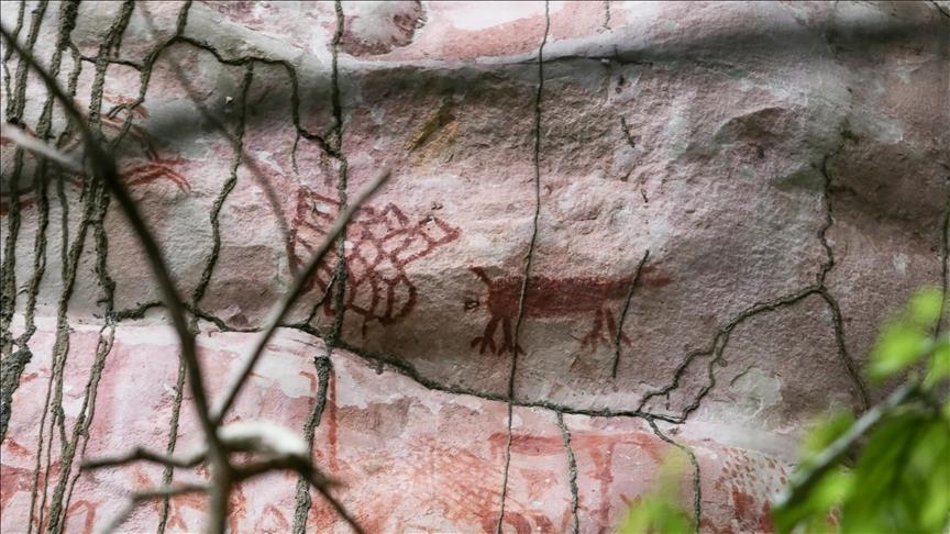 Истражувачите ја открија најстарата пештерска уметност во светот на островот Муна во Индонезија