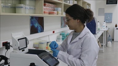 Dokuz Eylül Üniversitesi Teknoparkı şirketleri geçen yıl 60 milyon dolarlık ihracat yaptı