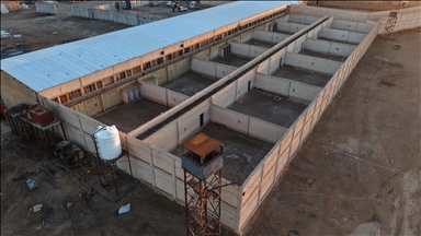 Iraqi judiciary to take legal action against ISIS detainees transferred from Syria