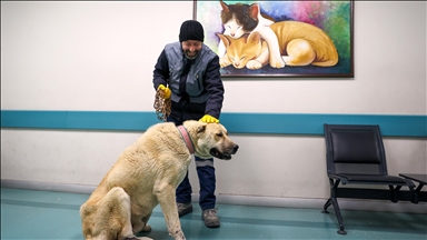 Konya'daki hayvan hastanesinde geçen yıl 21 bin veterinerlik hizmeti verildi