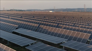 الكهرباء اليمنية: شركة إماراتية أطفأت محطتين للطاقة الشمسية بعدن وشبوة