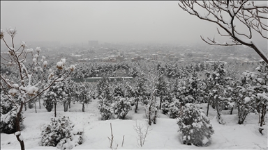 11 killed amid heavy snowfall, rains in Afghanistan: Report