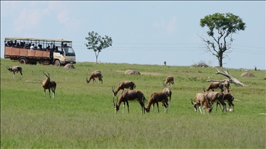 1 in 5 mammals faces extinction across South Africa, Lesotho, Eswatini