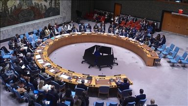 Germany calls for 2 permanent seats for African states on UN Security Council