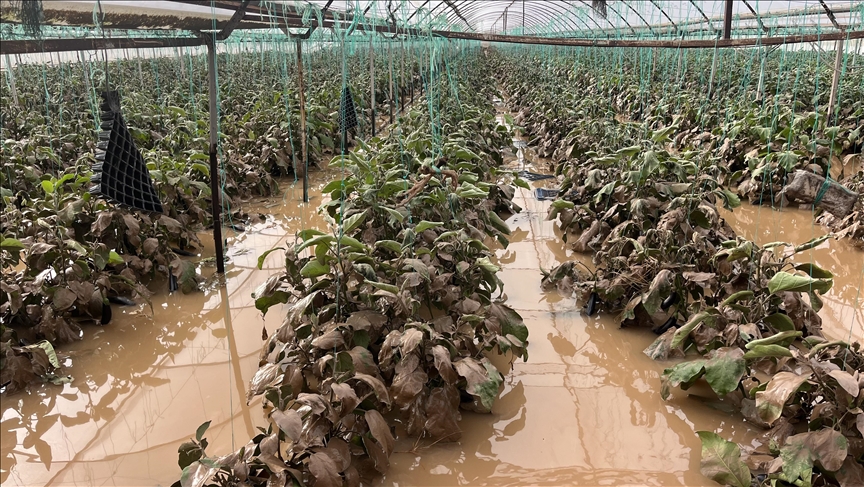 Antalya'da sağanağın hasara yol açtığı Kumluca'da tespit çalışmaları başladı