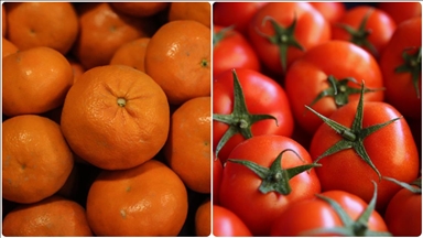 Tangerines, tomatoes lead Istanbul’s 2025 produce consumption