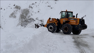 Li Wan, Bedlîs, Mûş û Hekariyê rêya 278 wargehan ji ber berfê girtî ne