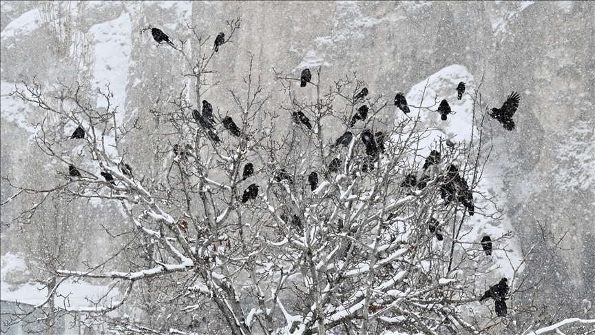 Aralık'ta en düşük sıcaklık Van'da en yüksek sıcaklık Hatay'da ölçüldü