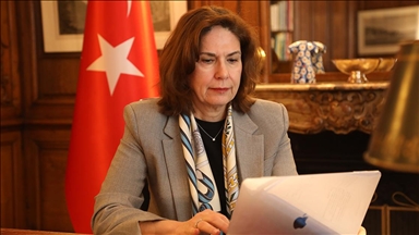 Türkiye'nin OECD Daimi Temsilcisi Altuğ, AA'nın "Yılın Kareleri" oylamasına katıldı