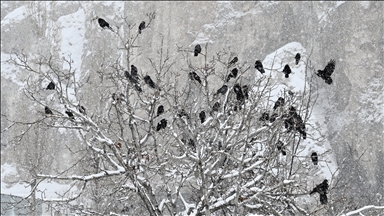 Aralık'ta en düşük sıcaklık Van'da en yüksek sıcaklık Hatay'da ölçüldü
