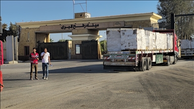 Egypt calls for Israeli withdrawal from Gaza, reopening Rafah crossing