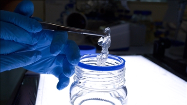 Chinese, US scientists identify tumor cell driving cancer progression