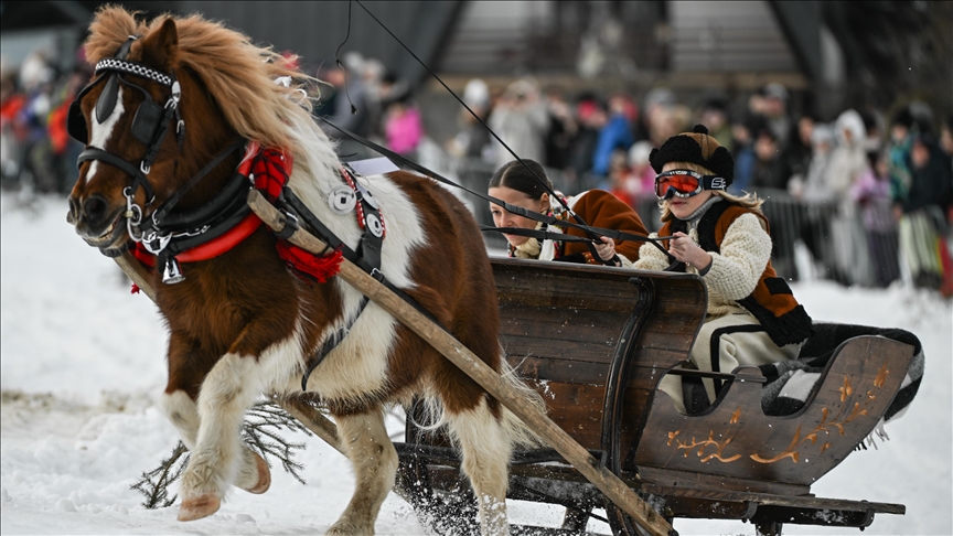 Mbahet gara tradicionale e sajave të tërhequra nga kuajt Kumoterki në Poloni