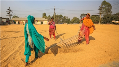 Bangladesh, metoda tradicionale dhe moderne për tharjen e produkteve bujqësore