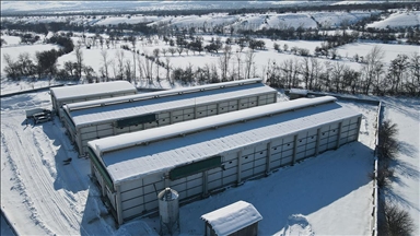 Erzincan'da devlet desteğiyle kurulan modern çiftlikte bölge illerinin yumurta ihtiyacı karşılanıyor