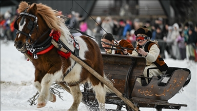 Mbahet gara tradicionale e sajave të tërhequra nga kuajt Kumoterki në Poloni