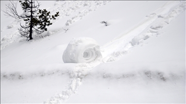 Doğada ender oluşan kar ruloları Ilgaz Dağı'nda görüntülendi