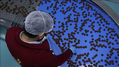 Devlet desteğiyle kurduğu fabrikada günde 100 bin paket glütensiz gıda üretiyor