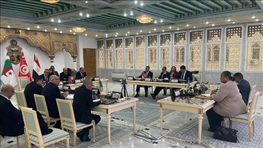 الخارجية المصرية: الحل السياسي الليبي–الليبي السبيل الوحيد للاستقرار