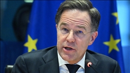 'Keep on dreaming': NATO chief dismisses idea of Europe defending itself alone