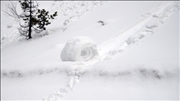 Doğada ender oluşan kar ruloları Ilgaz Dağı'nda görüntülendi