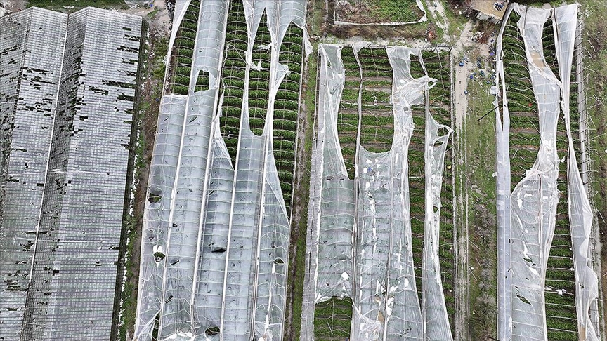 Muğla'da hortumun zarar verdiği seralarda hasar tespit çalışmaları başladı