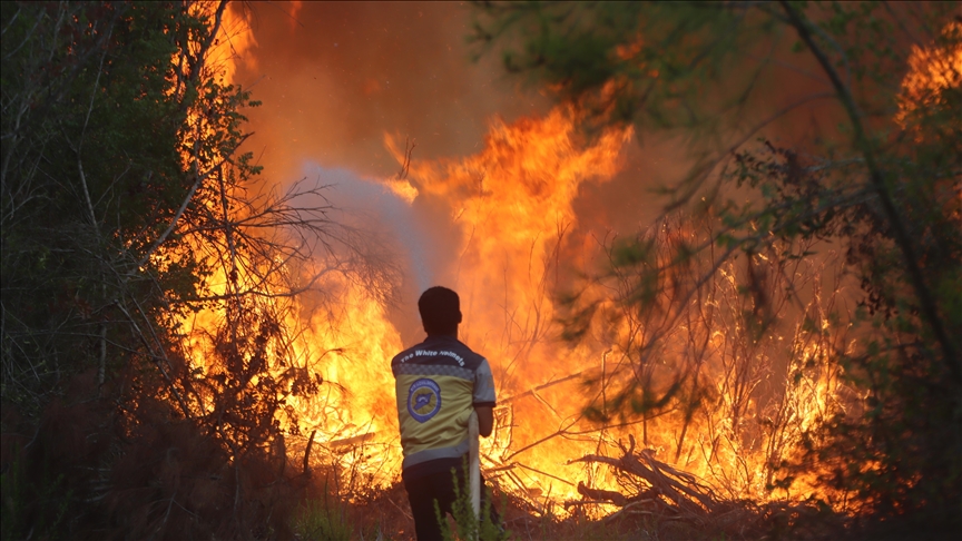 Wildfire smoke linked to 17,000 strokes yearly in older Americans: Study