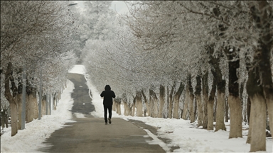 Li Diyarbekirê hewaya sar bi bandor e