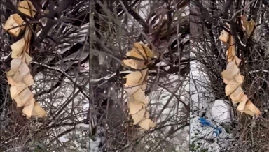 Bashkësia Islame e Kosovës reagon për djegien e Kuranit në Gjakovë