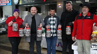 Karadeniz'de hamsi salamurası zamanı