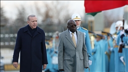 Turkish president welcomes Nigerian counterpart with official ceremony in Ankara