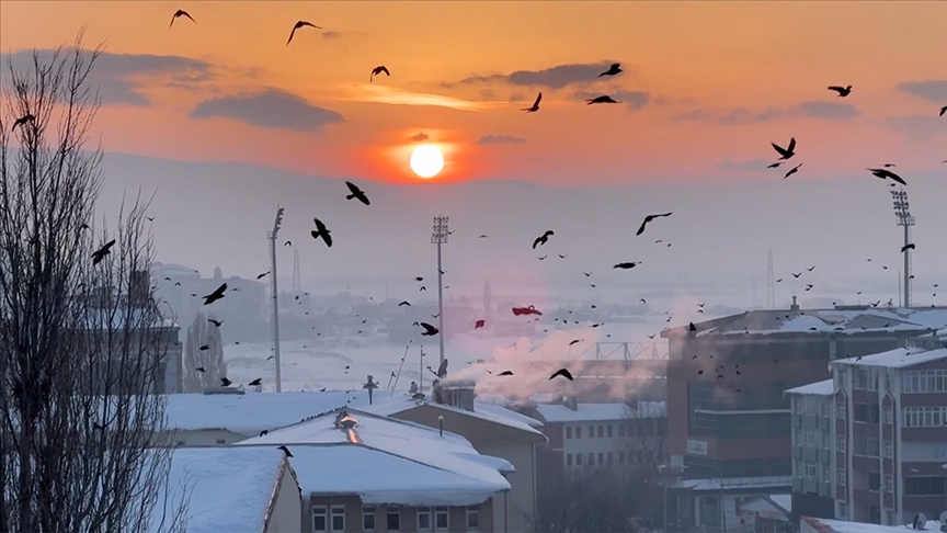 Ardahan'da gün batımında kuşların süzülüşü görüntülendi