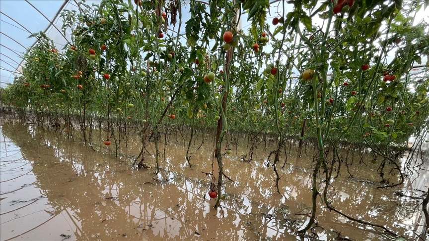 Tarım ve Orman Bakanlığından Antalya'daki hasar tespit incelemelerine ilişkin açıklama